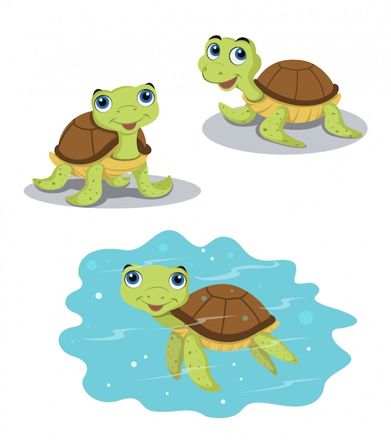 Diseño vectorial de tortuga