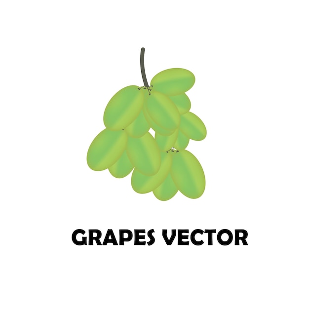 Diseño vectorial de uvas