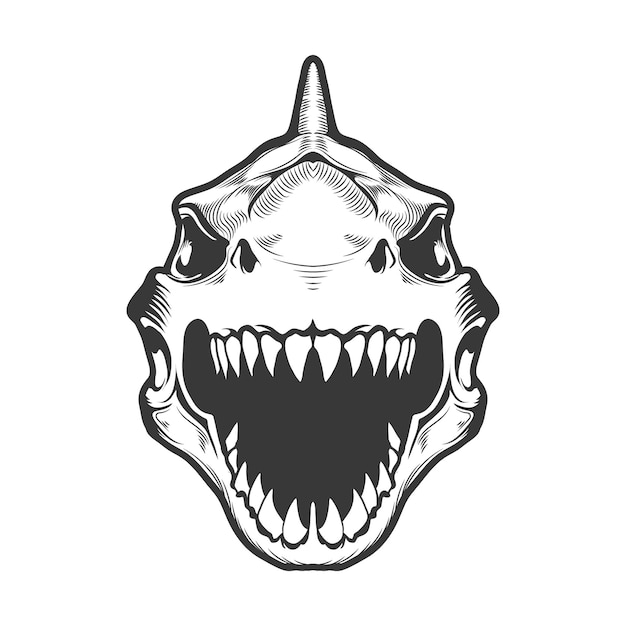 Diseño vectorial de la vista frontal del esqueleto de la cabeza de tiburón