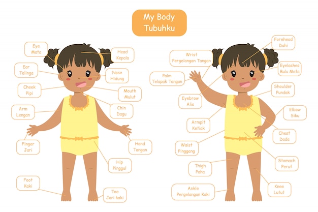 Diseño de vocabularios bilingües "My body parts" para niños. Linda chica afroamericana en ropa interior amarilla.