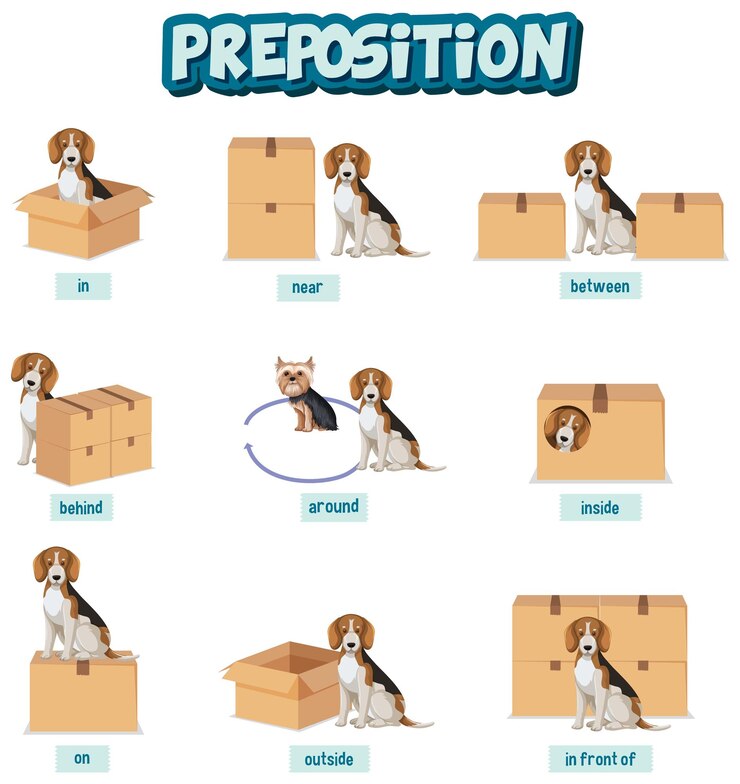 Vector diseño de wordcard de preposición con perro y cajas.