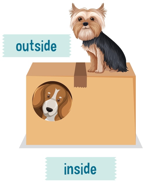 Diseño de wordcard de preposición con perros y caja.
