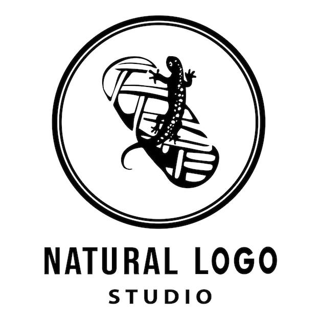 Diseños de estudio de logotipos naturales.