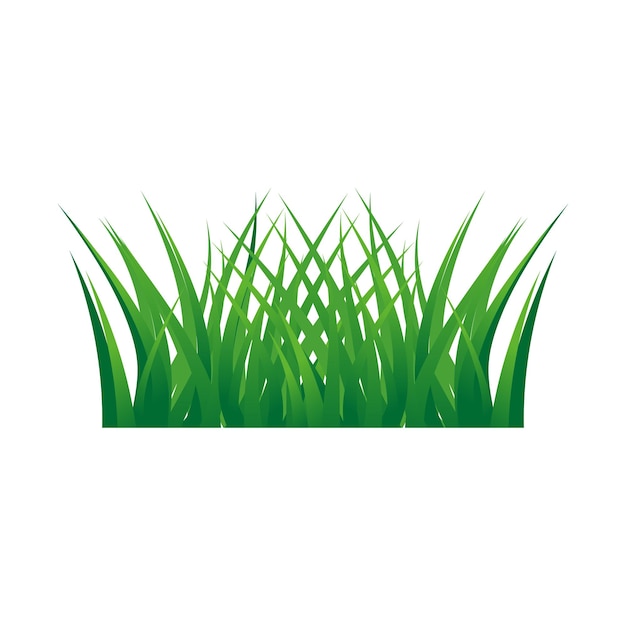 Diseños de hierba verde aislados sobre un fondo blanco