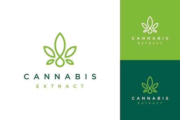 Diseños de logotipos de extracto de cannabis u hojas de cannabis con gotas de agua