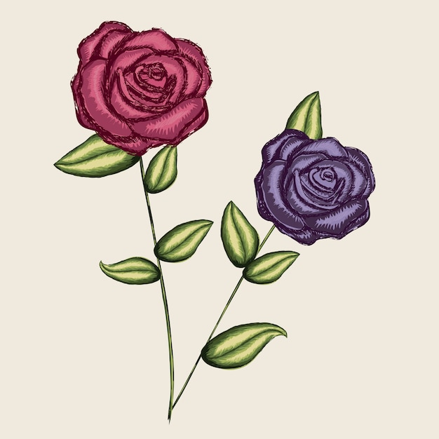 Diseños de rosas