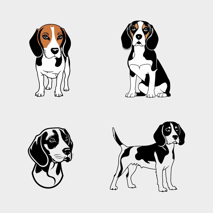 Vector diseños vectoriales de animales de primera calidad para diseñadores gráficos vectores editables de alta calidad