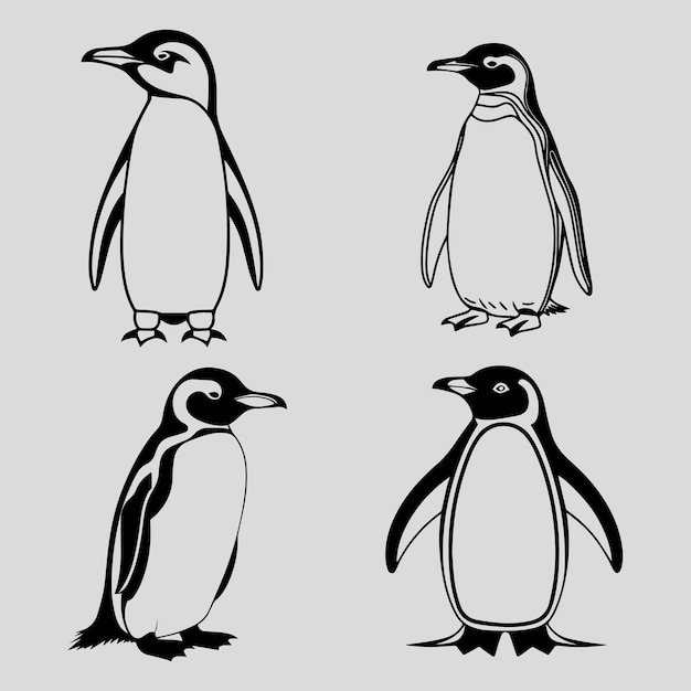 Diseños vectoriales de pingüino para elementos de diseño llamativos