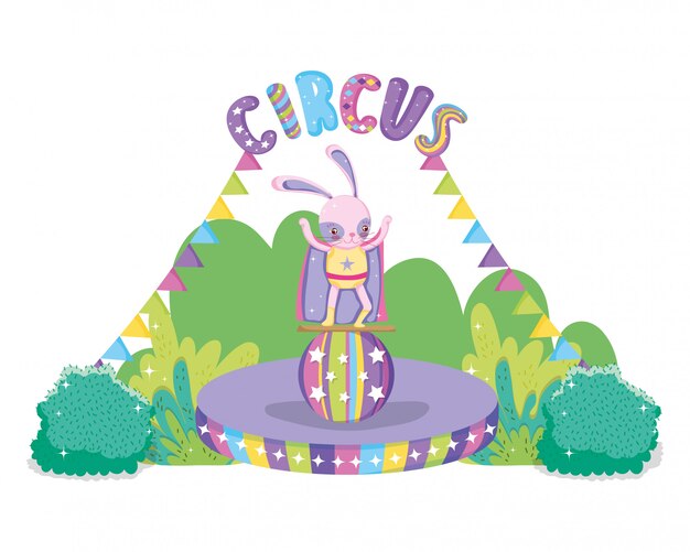 Disfraz de héroe de conejo en el baile de circo.