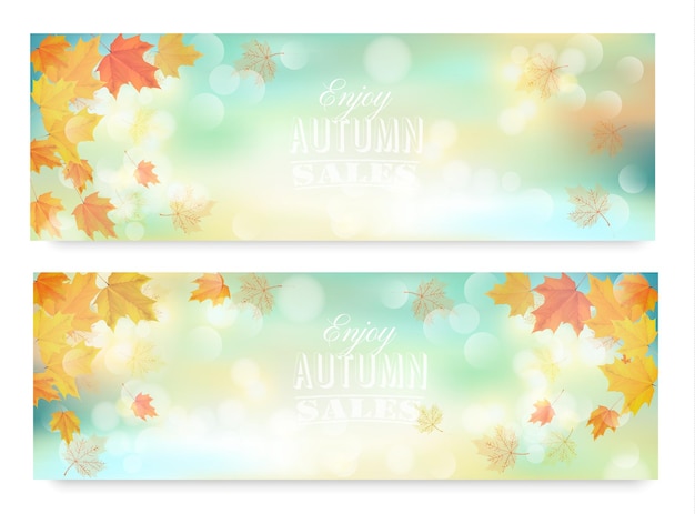 Disfrute de los carteles de rebajas de otoño con hojas de colores. Vector.