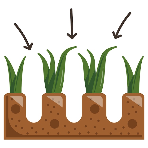 Vector distancia entre plantas en concepto de arbusto espaciado entre filas para un crecimiento saludable diseño de iconos vectoriales césped