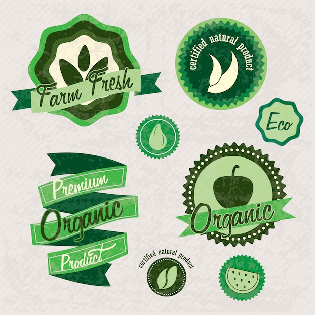 Vector distintas etiquetas ecológicas para marcar un producto o servicio. fondo vintage.