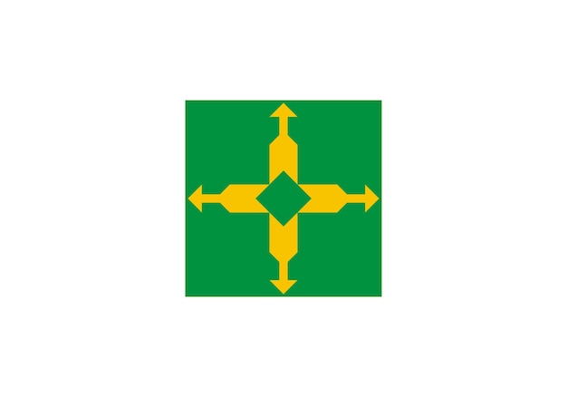 Distrito Federal Bandera estado de Brasil Vector Ilustración