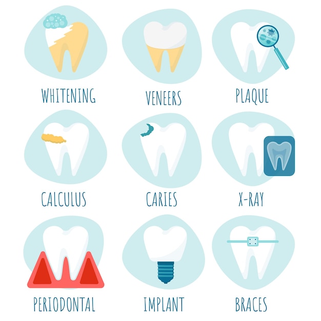 Vector diversos problemas con los dientes caries placa de sarro enfermedad periodontal implantes dentales y carillas