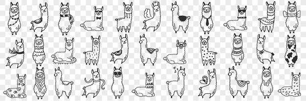 Divertidos animales de alpacas doodle set. Colección de varios animales de alpaca lindos divertidos dibujados a mano en diferentes poses disfrutando de la vida aislada sobre fondo transparente