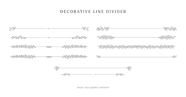 Divisor de línea de vid floral de la naturaleza para el diseño de texto separador conjunto de elementos vectoriales de decoración