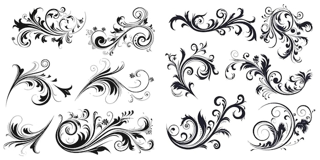 Vector divisores decorativos para colecciones