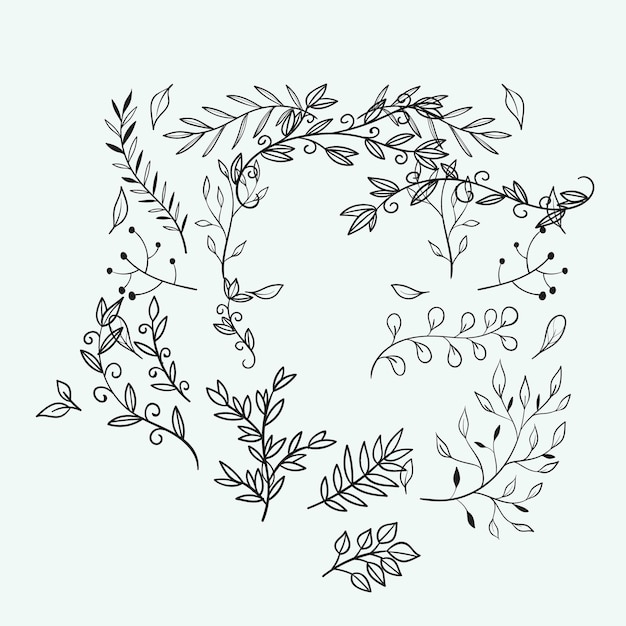 Divisores de texto decorativos Ornamento floral Frontera decoraciones vintage dibujadas a mano y boceto florecido