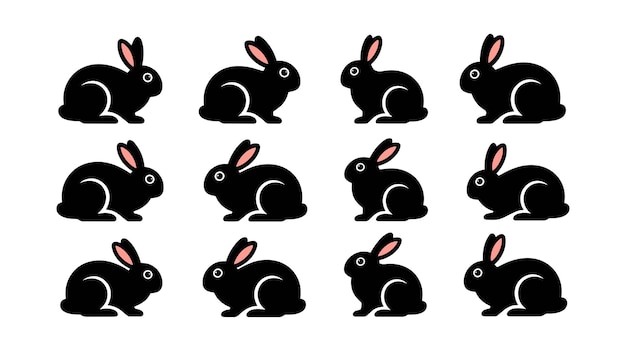 Doce conejos negros