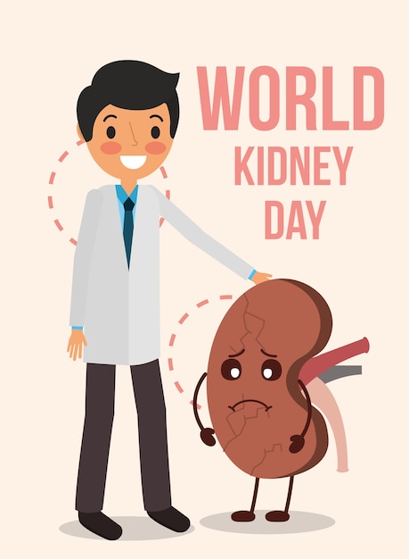 doctor y órgano de dibujos animados mundo humano riñón día