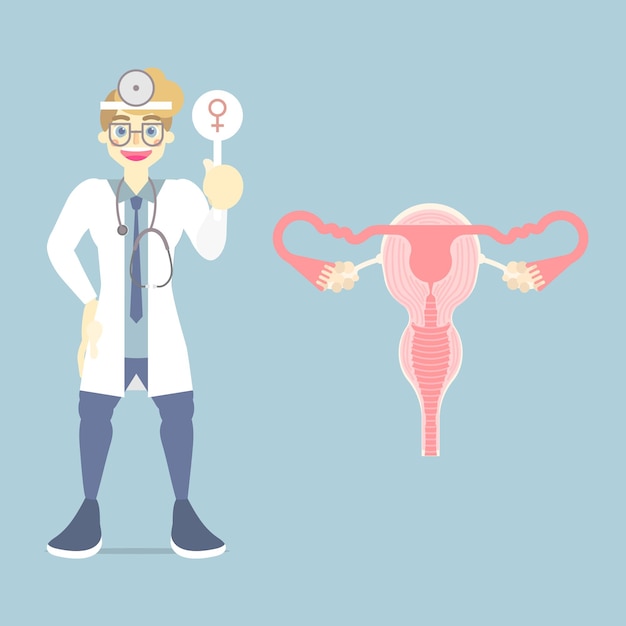 Vector doctor sosteniendo un cartel de mujer con el sistema reproductivo femenino, parte del cuerpo de la anatomía de los órganos internos