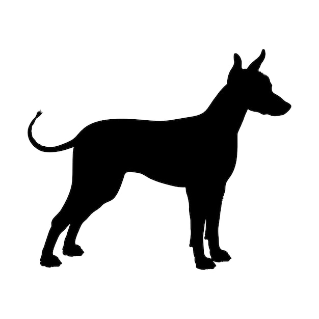 Dog Xoloitzcuintli silueta de las razas de perros logotipo del vector del monograma del perro