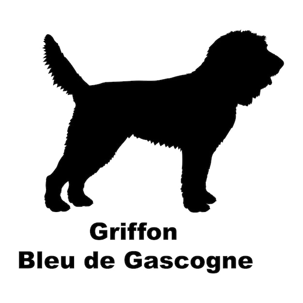 Vector dogon griffon bleu de gascogne silueta de las razas de perros vector del logotipo del monograma