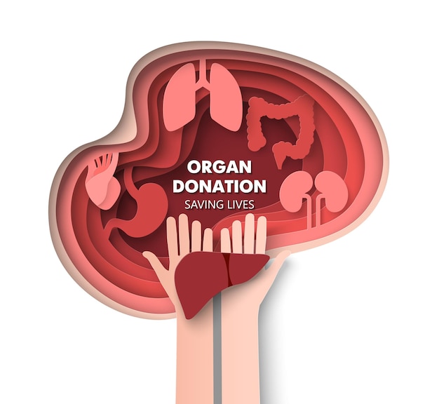 Donación de órganos d vector salvando el concepto de vida