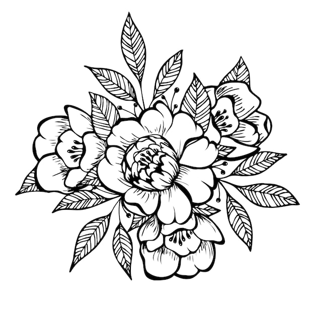 Doodle arte flor y hoja aislado sobre fondo blanco Ilustración dibujada a mano Flor de peonía