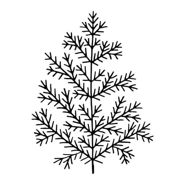 Doodle arte de línea de árboles de coníferas Piceas y pinos de bosque Ilustración vectorial dibujada a mano Gráficos de invierno de Navidad boceto simple Elemento de diseño aislado