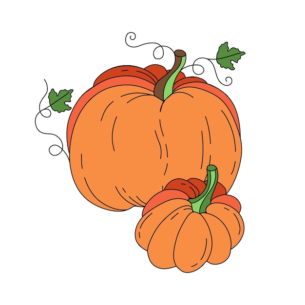 Doodle de calabaza Vector ilustración de color aislado en blanco