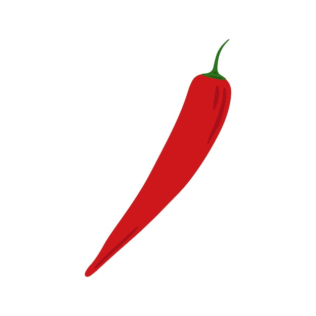 Doodle chile rojo aislado sobre fondo blanco vegetal de pimienta de cayena dibujado a mano