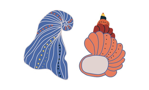 Doodle concha ornamental con conjunto vectorial de conchas marinas duras