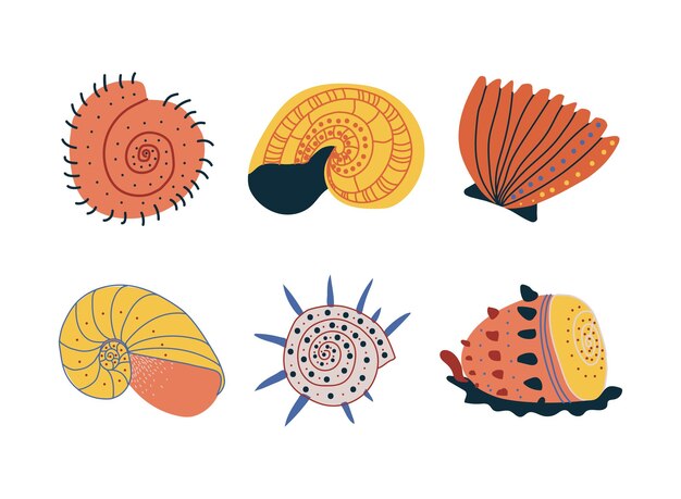 Doodle concha ornamental con conjunto vectorial de conchas marinas duras