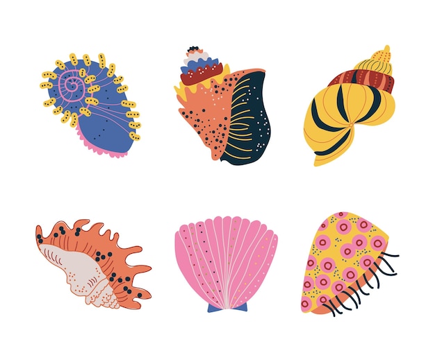 Doodle concha ornamental con conjunto vectorial de conchas marinas duras