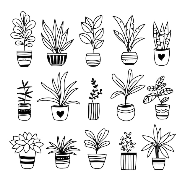 Doodle conjunto de plantas en macetas Ilustraciones de decoración de interiores