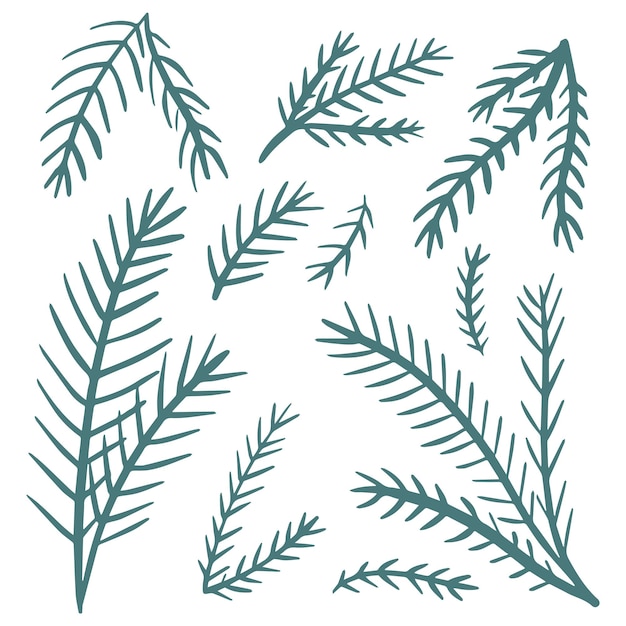 Vector doodle conjunto de ramas de abeto árbol de navidad pino colección de ramas dibujadas a mano