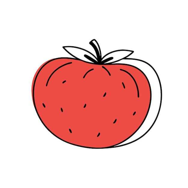 Doodle contorno de tomate con punto Ilustración vectorial para el embalaje en un fondo blanco aislado 7