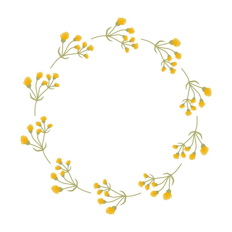 Doodle Corona floral hecha de amarillo Flores en círculo Elemento botánico de primavera minimalista dibujado a mano Marco de verano redondo o borde con texto de lugar Cita o logotipo en estilo plano Día de la Madre de la Mujer