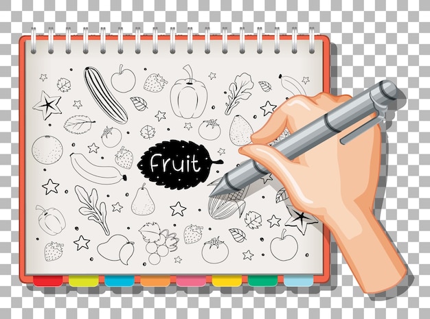 Vector doodle dibujado a mano de frutas