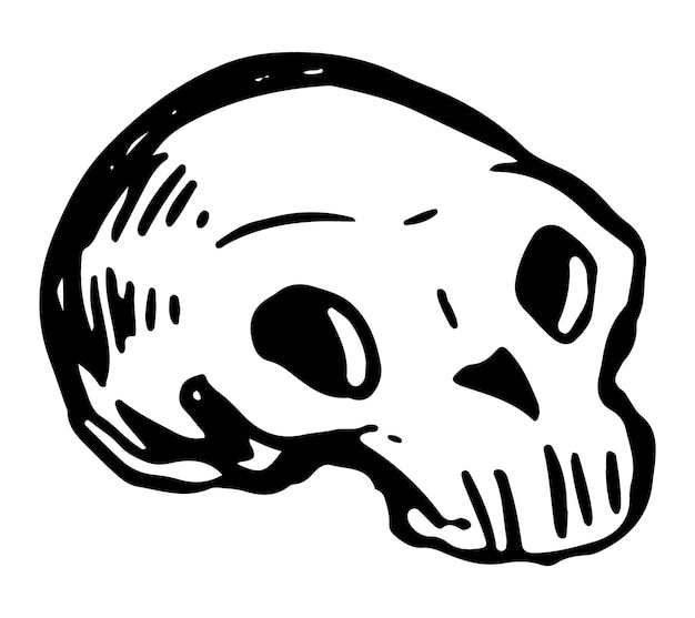 Doodle de divertido cráneo humano Halloween dibujado a mano ilustración vectorial Retro esquema clipart para decoración espeluznante aislado en blanco