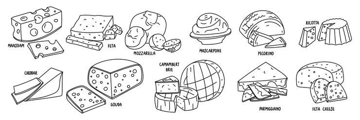 Vector doodle es un conjunto de diferentes tipos de queso en un grupo ilustraciones grupales de quesos en diferentes