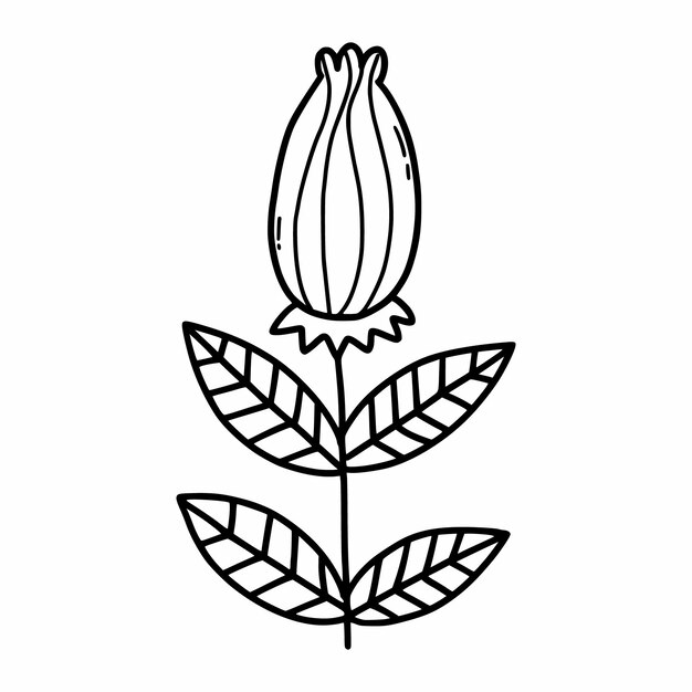 Doodle flor sobre fondo blanco Ilustración vectorial con planta Libro para colorear para niños Diseño de postal