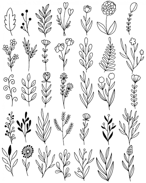 doodle de flores dibujadas a mano