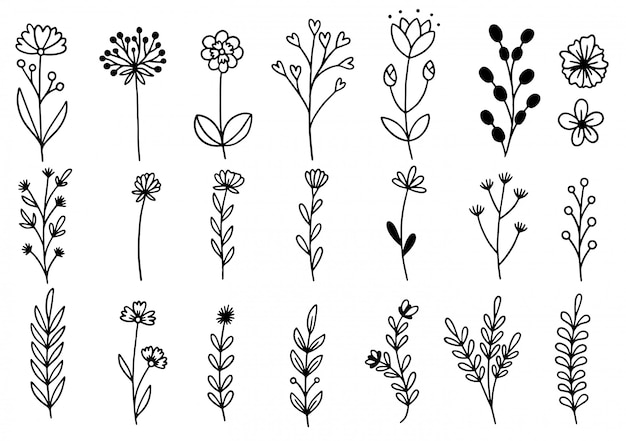 doodle de flores dibujadas a mano
