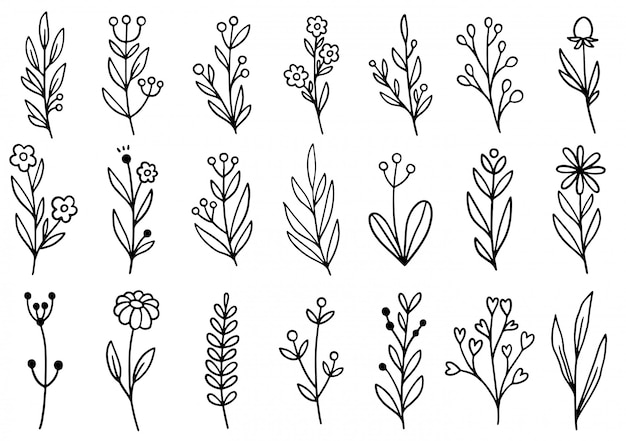 doodle de flores dibujadas a mano