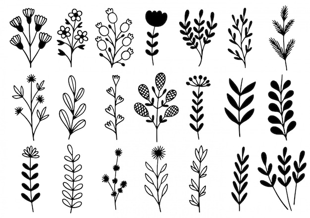 Doodle de flores dibujadas a mano