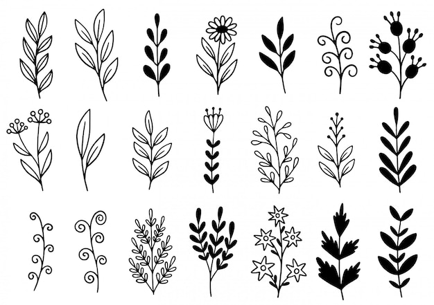 Vector doodle de flores dibujadas a mano