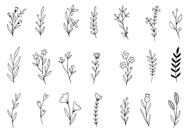 doodle de flores dibujadas a mano