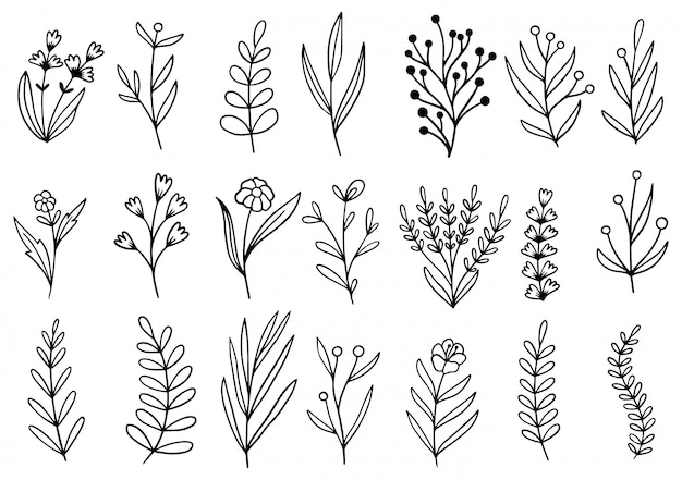 doodle de flores dibujadas a mano